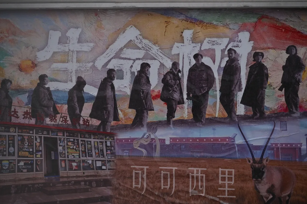 生命树