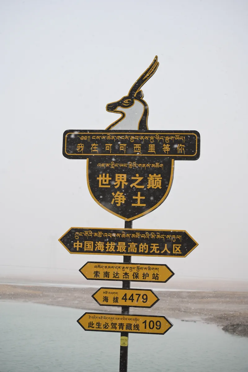 打卡